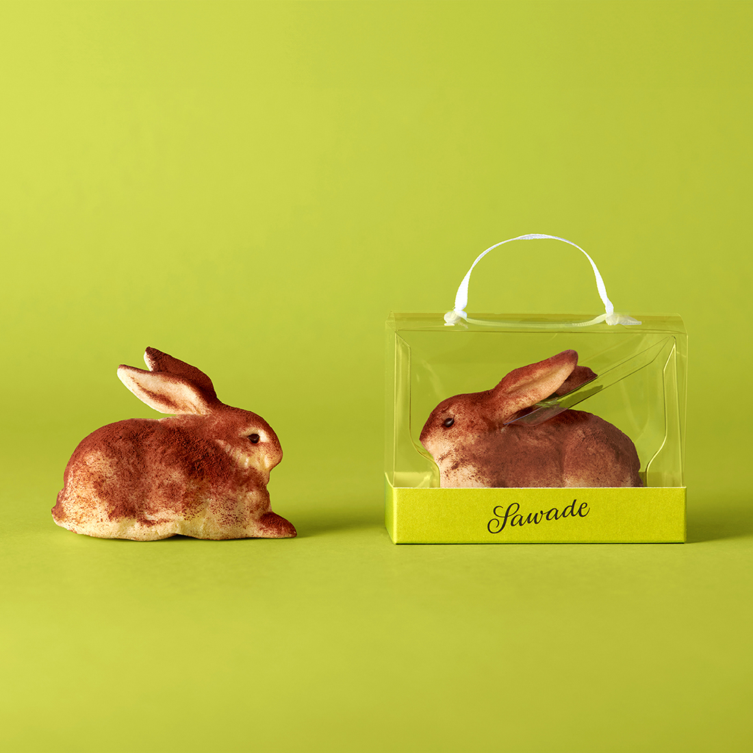 zwei Dürerhasen schauen sich an