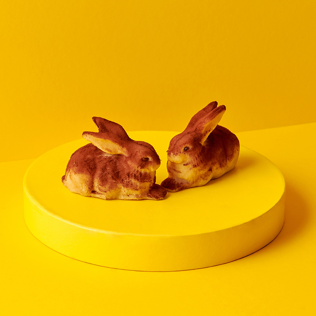 Stimmungsbild: 2 Dürerhasen dekorativ aufgestellt Stimmungsbild: 2 Dürerhasen dekorativ aufgestellt