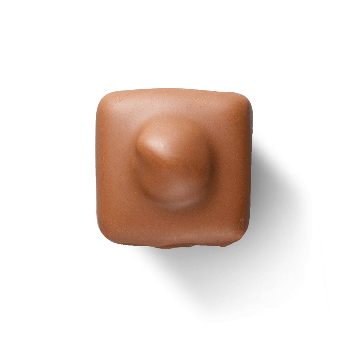 Haselnuss-Nougat, 6 St. Produktbild: Haselnuss Nougat