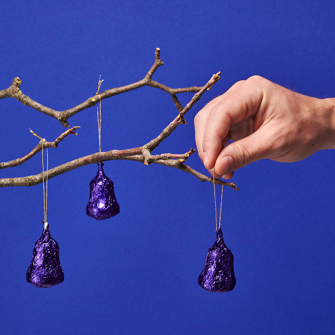 Stimmungsbild: Mensch hängt Sahnenougtaglocke an einen Zweig Stimmungsbild: Mensch hängt Sahnenougtaglocke an einen Zweig