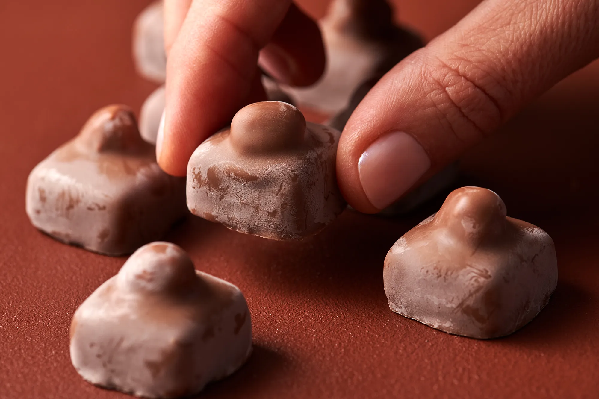 Pralinen mit Fettreif