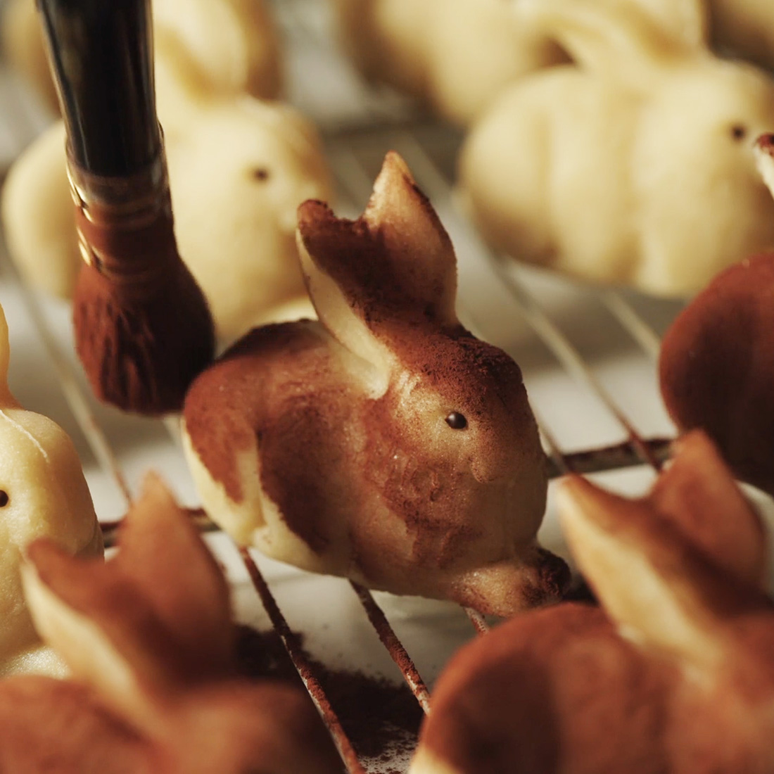 Produktionsaufnahme: Dürerhase wird mit Kakao bepudert Produktionsaufnahme: Dürerhase wird mit Kakao bepudert