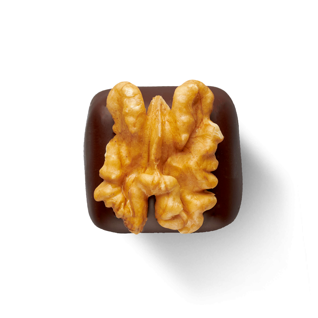 Marzipan-Walnuss in Zartbitterschokolade Produktbild. Marzipan-Walnuss