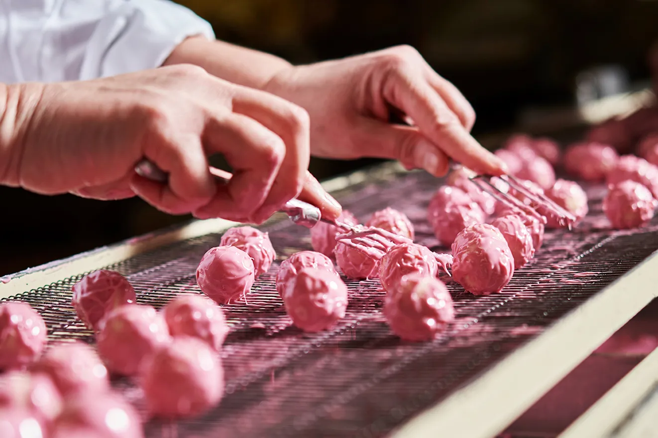 Stimmungsbild: Sommertrüffel Erdbeere Jogurt wird geigelt
