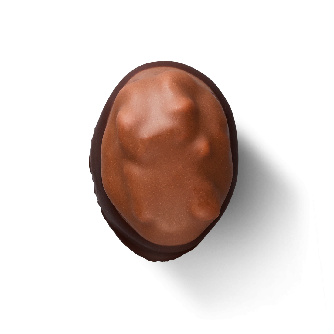 Produktbild: Bordeauxnuss Produktbild: Bordeauxnuss