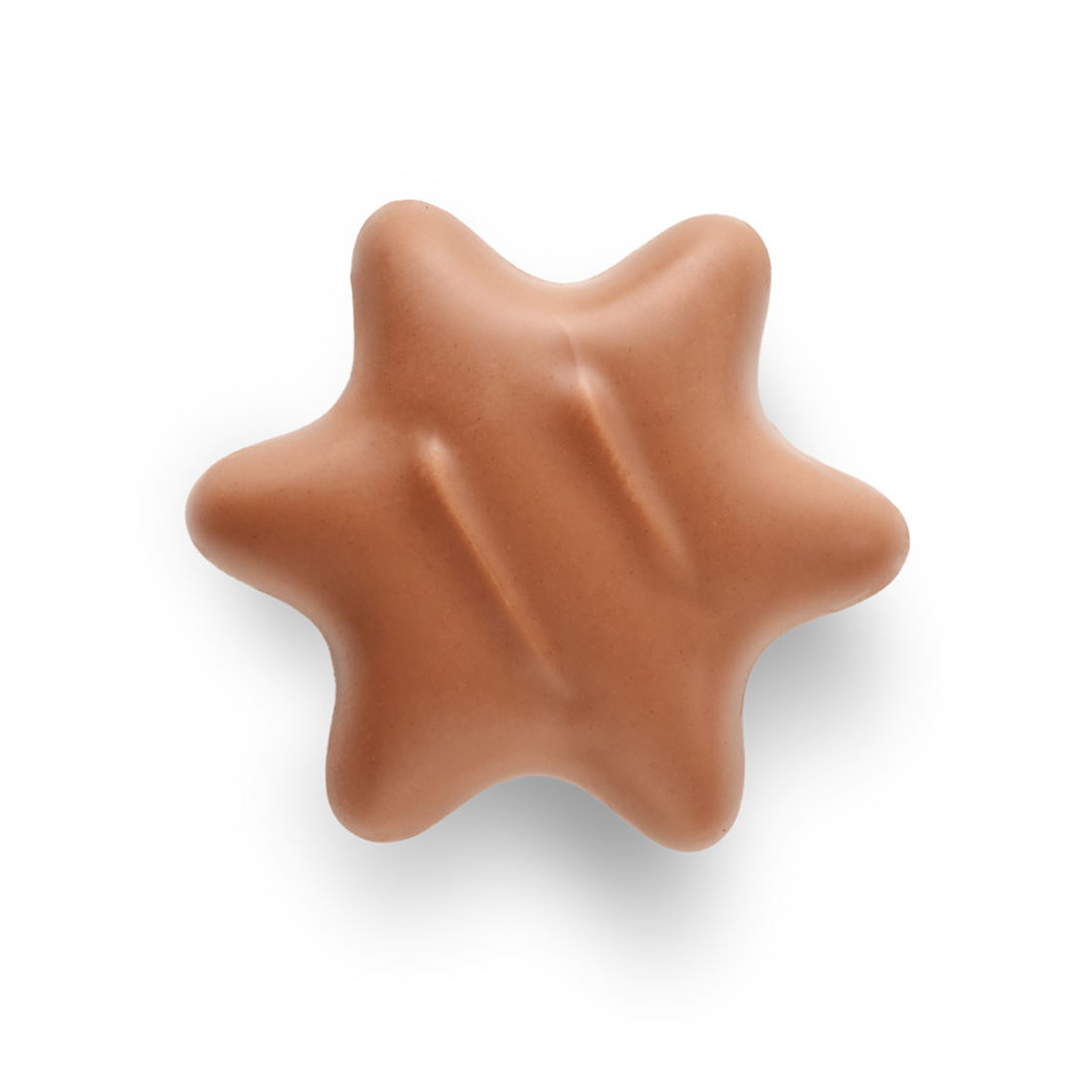 Marc de Champagne-Trüffelstern in Vollmilchschokolade Produktbild: Marc de Champagne Trüffelstern